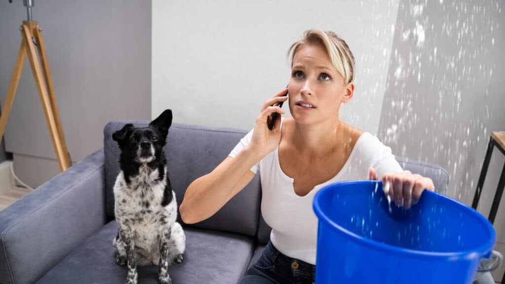 Vrouw met emmer die graag hulp van een schade-expert wil bij waterschade.